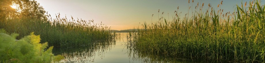  Biodiversité